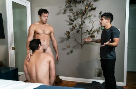 homoseksuel hardcore porno perfekt sexet gallerier