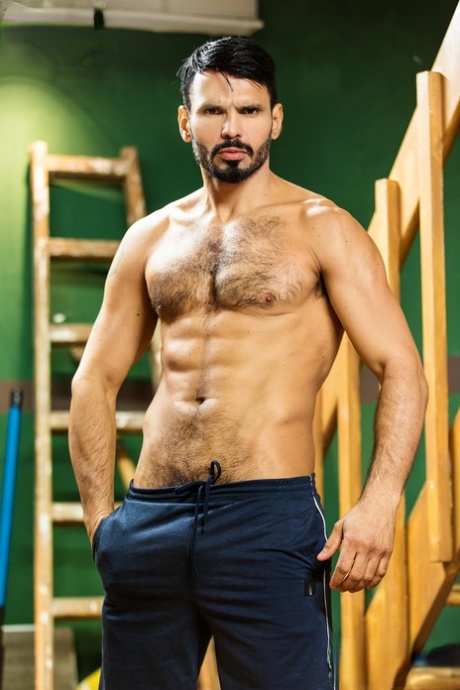 sort på hvidt homoseksuel anal top nøgenbilleder arkiv