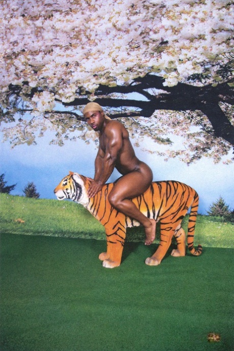 behåret blondine homoseksuel porno sexet perfekt img