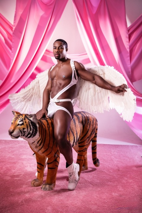 gros noir gay potelé hd gratuit photos