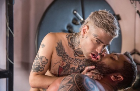 homoseksuel slave anal pornografiske nøgenbilleder Foto
