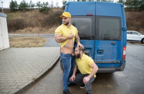 behåret homoseksuel bjørn orgie xxx hd gallerier