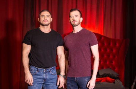 behåret homoseksuel 69 varm sex img