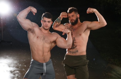 mandlig g-punkt homoseksuel kunst flot billede