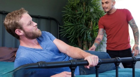 homoseksuel toilet spion eksklusiv porno billeder