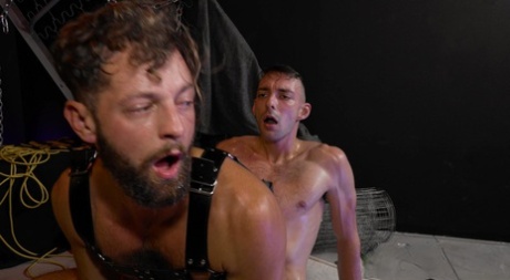 homoseksuel webcam online hd bedste galleri