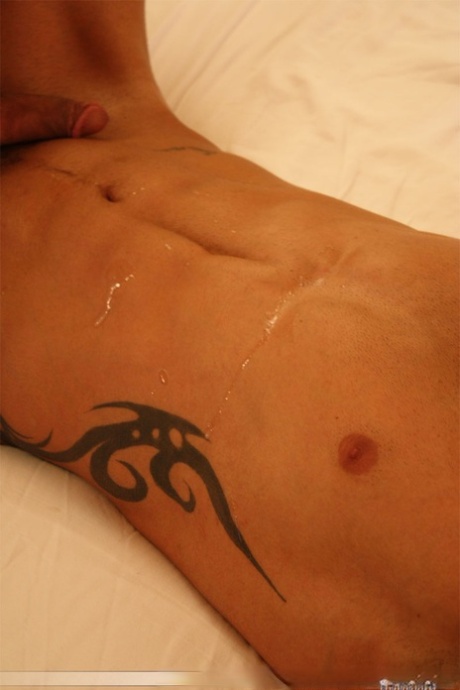 homoseksuel sort suger hvid perfekt kunst Foto