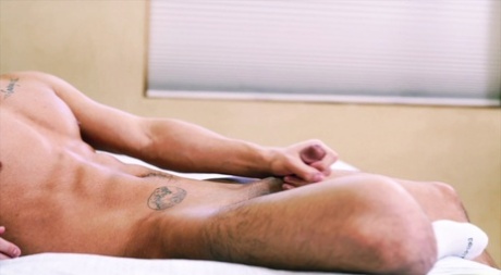 homoseksuel bjørn barback orgie bedste kunst Foto