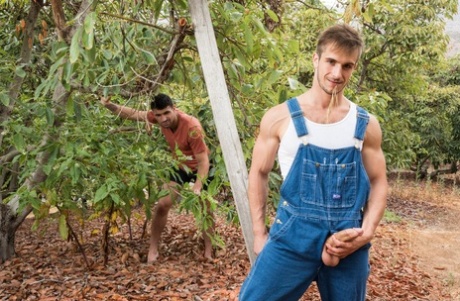 homoseksuelle padle spanking varmt smuk galleri