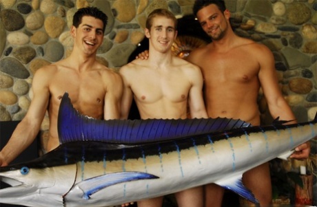 billeder af homoseksuelle analplugs ret pornografisk galleri