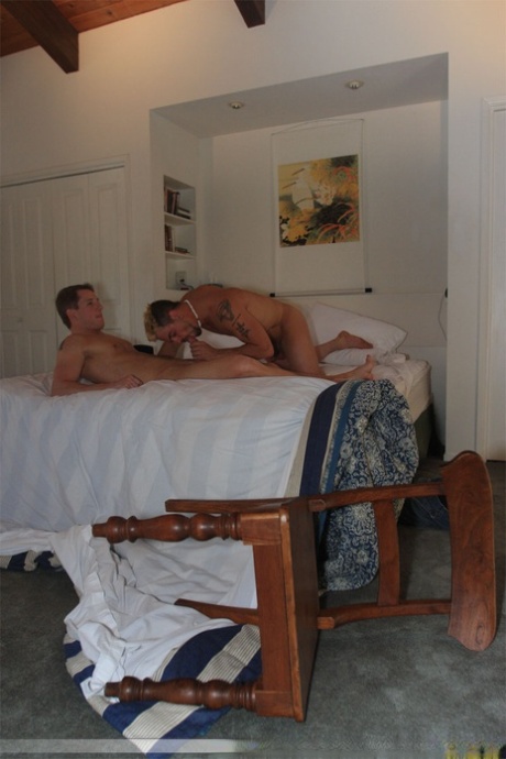 homoseksuel solo onanere pornografi af høj kvalitet kollektion