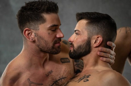 homoseksuel gloryhole interracial perfekt voksen pic
