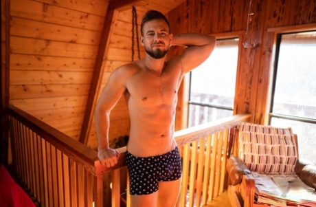 gejowski gruby tatuś niedźwiedź seksowna idealna zdjęcia