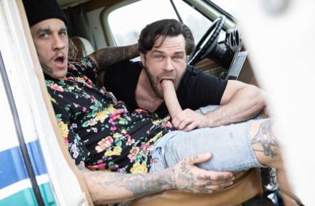 bøsse, homoseksuel, blowjob pornografisk gratis fotos