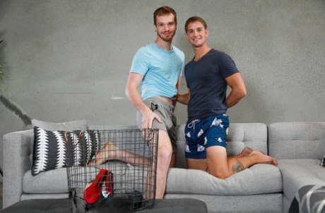 dildo machine gay free nude pictures