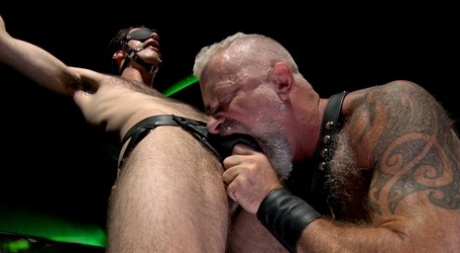 homoseksuel bdsm mester og slave hd nøgen img