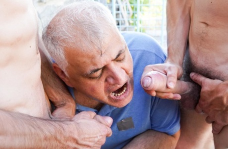 homoseksuel dreng pisker hd perfekt img