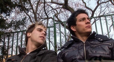homoseksuel latino fanklub kunst xxx img