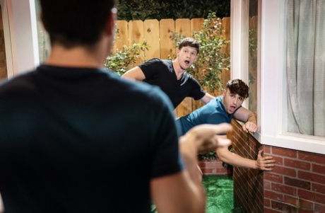 xxx homoseksuel køkken top porno kollektion