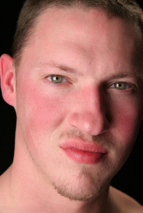 homoseksuel bjørn onanere varmt dejligt Foto