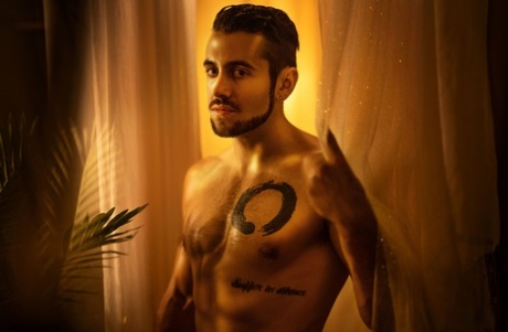 homoseksuelle mænd har sex i brusebadet fri kunst Foto