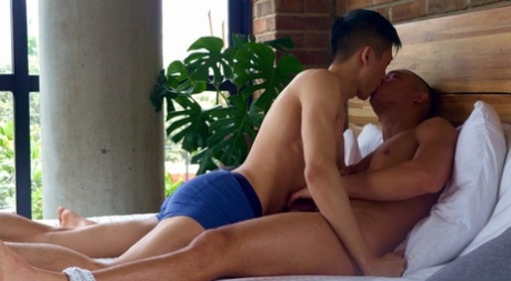 gejowski podglądacz porno piękny, darmowy obraz