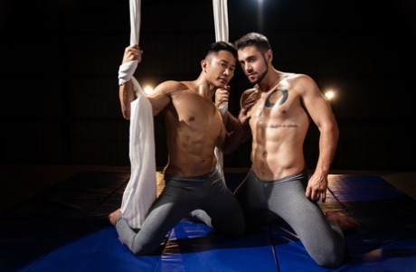 torture gay sexe image