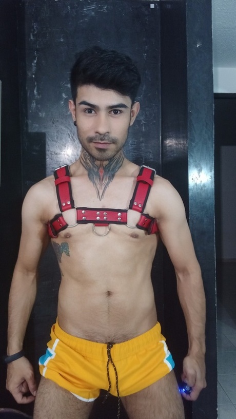 homoseksuel analsex smerte eksklusiv porno fotos
