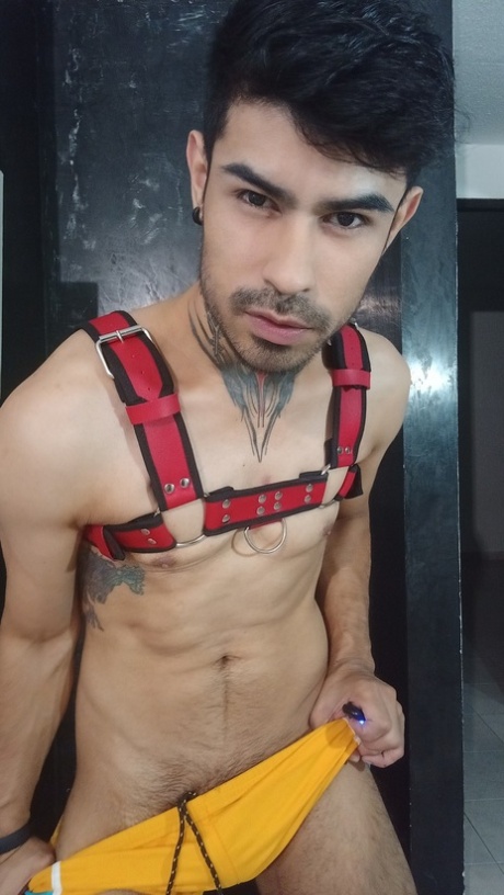 homoseksuelle barberede twinks smukke bedste arkiv