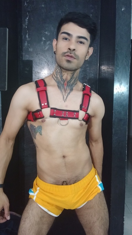 bøsse strap-on dildo varmt smuk gallerier