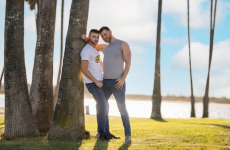 homoseksuel blowjob i bil køn billeder