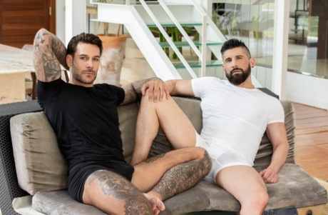 hardcore homoseksuelle sexbilleder sexet perfekt arkiv