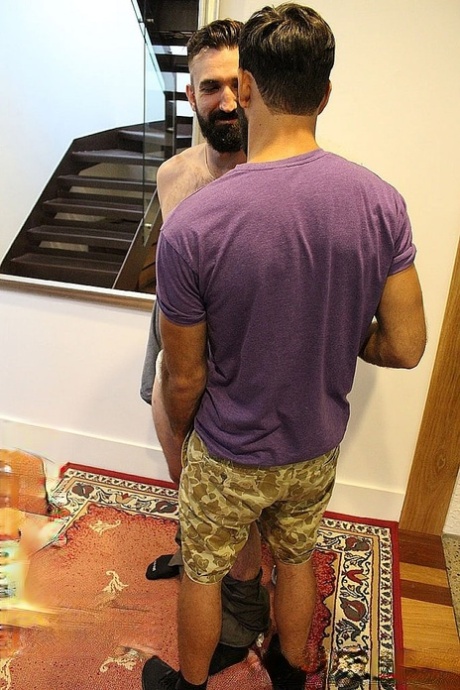 homoseksuel hostel onanere hd perfekt gallerier