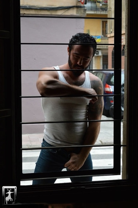 homoseksuel bjørn arabisk porno pornografisk xxx arkiv