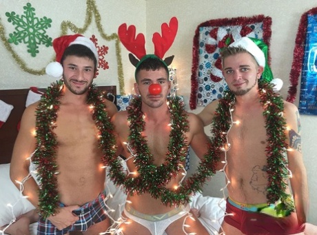 homoseksuel muskel live show bedste smukke Foto