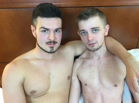 homoseksuel gruppe avl sex bedst gallerier