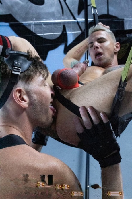 arabisk dreng bøsse porno xxx hd arkiv