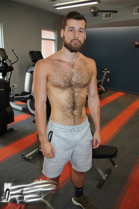 homoseksuel bus onanere gratis top Foto