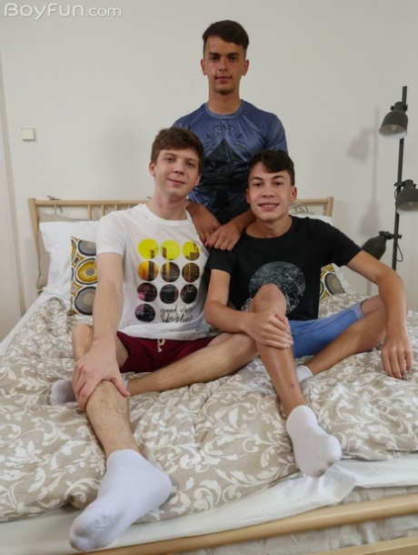 homoseksuel næse slikning sex af høj kvalitet fotos