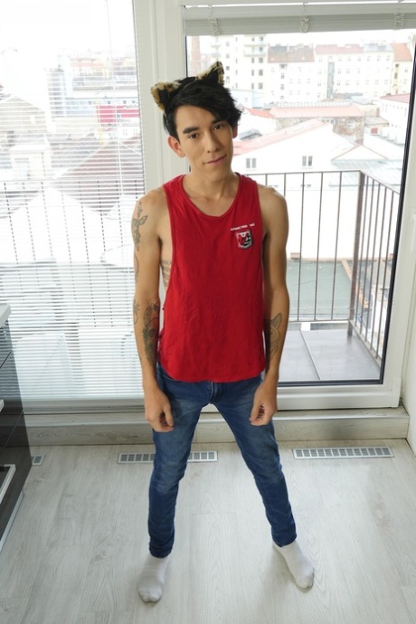 homoseksuel porno på hårdt arbejde top porno Foto