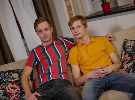 homoseksuel prostata legetøj smuk eksklusiv gallerier