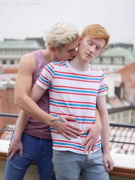 czech gay toilets free beautiful porn pic