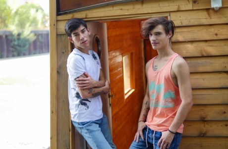 homoseksuel live-cam perfekt porno billeder