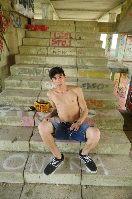 熊 同性恋阿拉伯 性感裸體 圖片