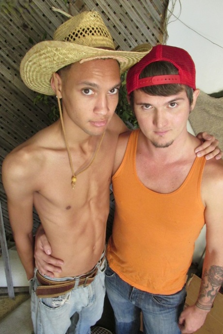 sort pik homoseksuel porno køn Foto