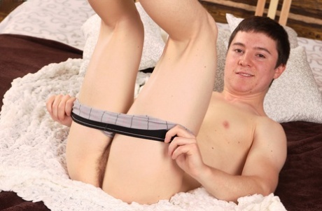 gejowski niedźwiedź gloryhole najlepszy hd obrazy