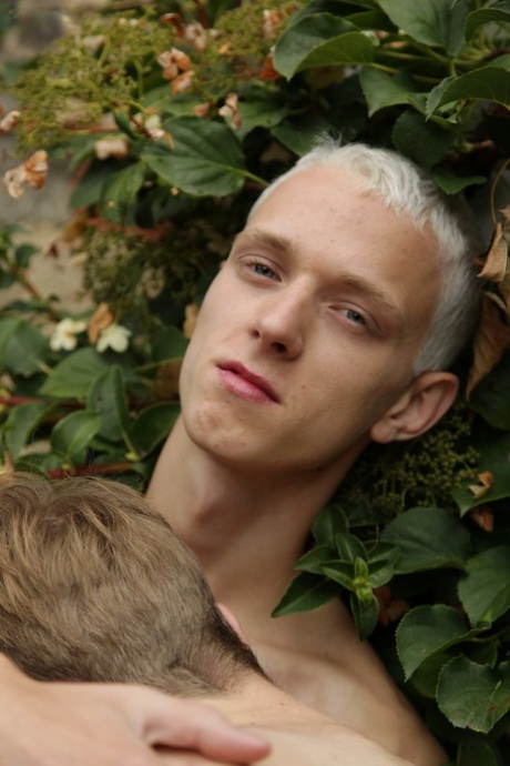 sexet homoseksuel hård høj kvalitet bedst pic