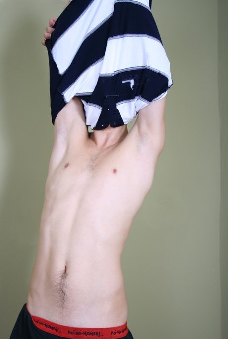 homoseksuel sek legetøj eksklusiv kunst pic