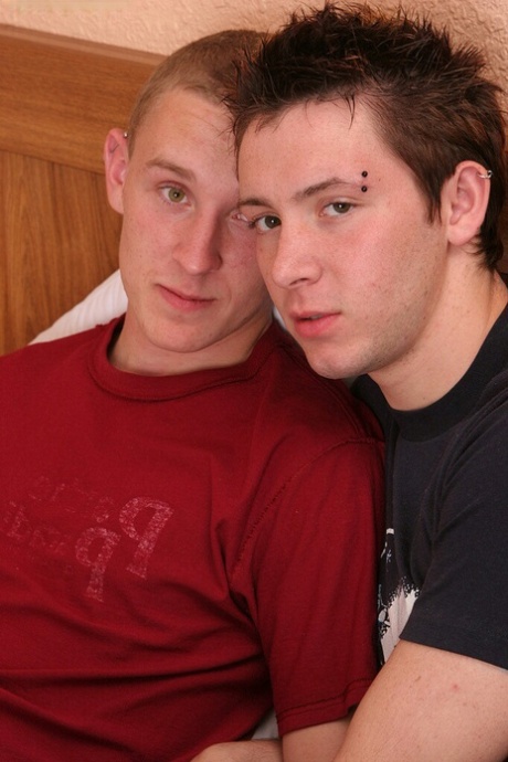 homoseksuel slyngeorgie dejligt perfekt arkiv