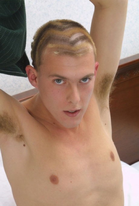 homoseksuel bjørn vintage sexet kunst galleri